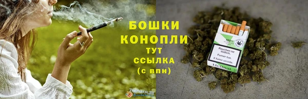 сатива Горнозаводск