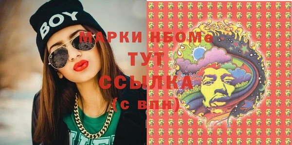 сатива Горнозаводск