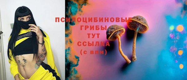 прущий лед Горно-Алтайск