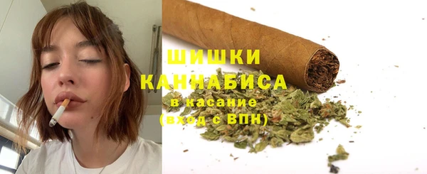хмурый Гусев