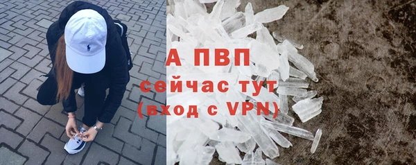 сатива Горнозаводск