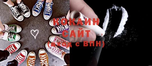 сатива Горнозаводск