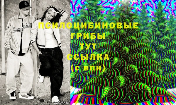 сатива Горнозаводск