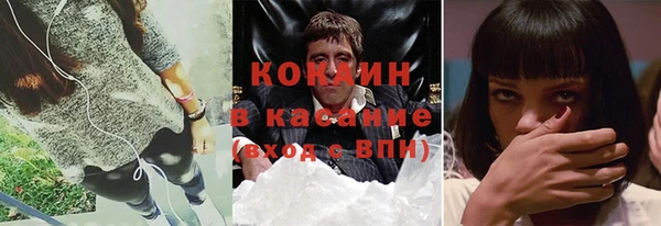 сатива Горнозаводск